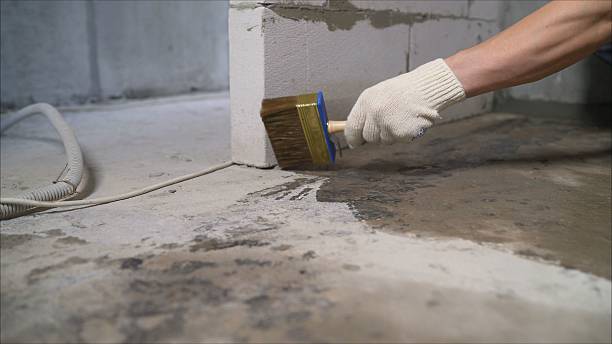 SJ Waterproofing Pros Waterproofing coverage map for Carrollton, GA and surrounding area